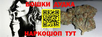 индика Кунгур